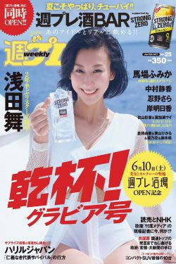 我的团长我的团小说